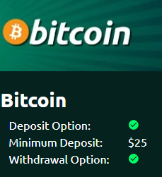 PlayCroco Casino Deposit and Withdrawal   Bitcoin